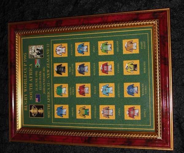 Framed pin Portrait: Rugby World Cup 1995 (16 pins) 355mm X 265mm (New) as in Photo