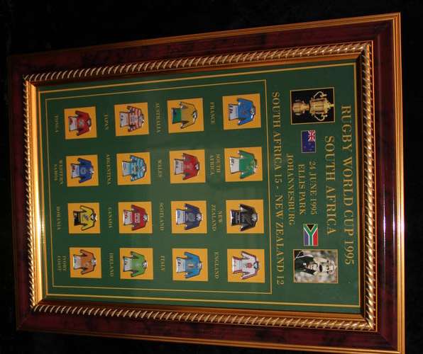 Framed pin Portrait:  Rugby World Cup 1995 (16 pins) 355mm X 265mm (New) as in Photo