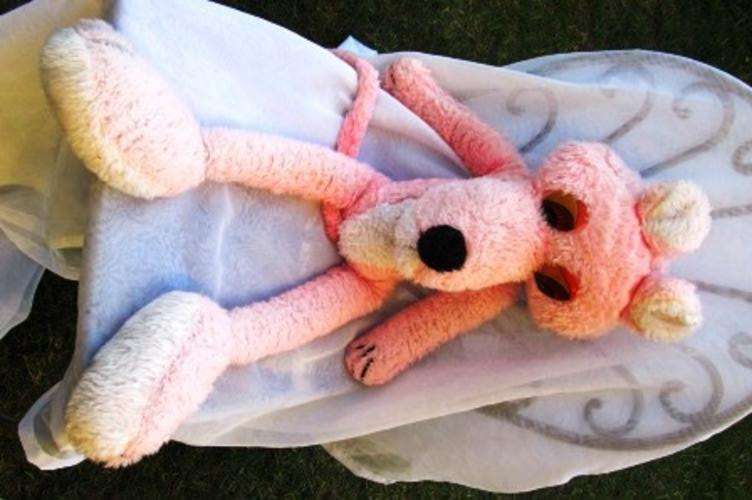 Pink Panther - Very Rare and Collectable