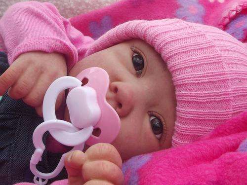 Reborn Baby *PORSHA* Sold Out Limited Edition