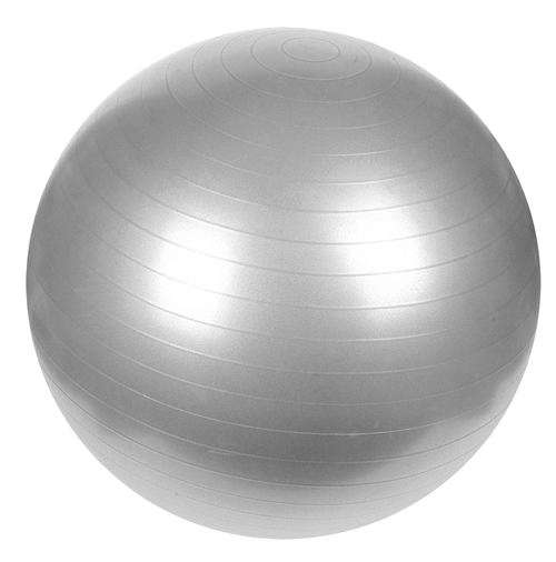 GREY / SILVER 65cm YOGA / PILATES / GYM BALL | DISCHEM