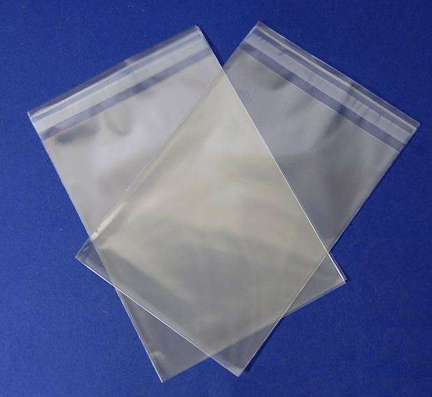 CARD MAKER'S SWANKY BAGS 100 (self-seal)