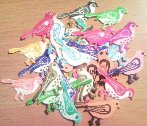 5cm BIRDS (50)