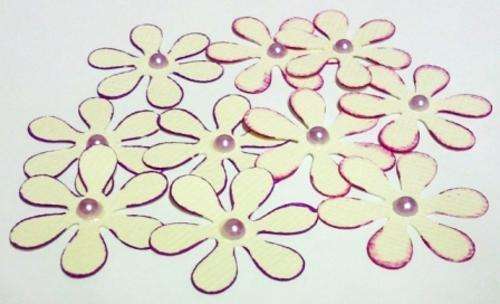 2.5cm FLOWERS BEIGE (10)