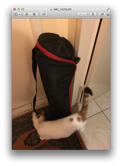 Manfrotto Monopod, Manfrotto Padded Bag