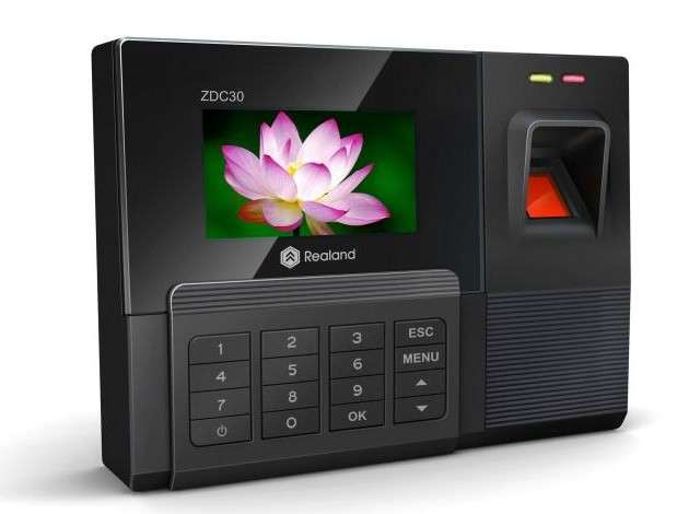 -Local Stock- Colour screen Fingerprint Time Attendance with USB+ RFID reading