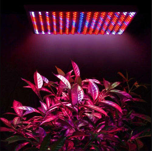 15W Red Blue 225 LED Plant Grow Light Lamp Panel Lighting for Hydroponic Promote - Free Shipping