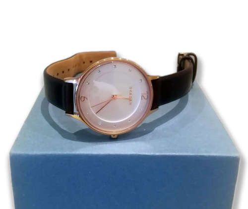 Skagen Anita Watch