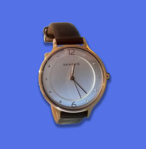 Skagen Anita Watch