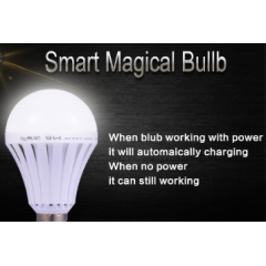 Smart Intelligent LED Emergency Light Bulb,Have Light during load shedding (PIN TYPE)