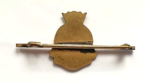 SHIPPING H M S VANGUARD PIN?BROOCH