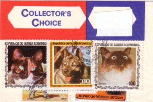 Cats and Dogs Collectors Choice