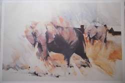 Derric van Rensburg - Elephant