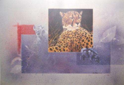 Jean Abrie- Cheetah (free postage)