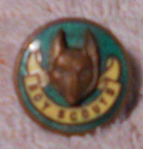 Scout Badge - pin on