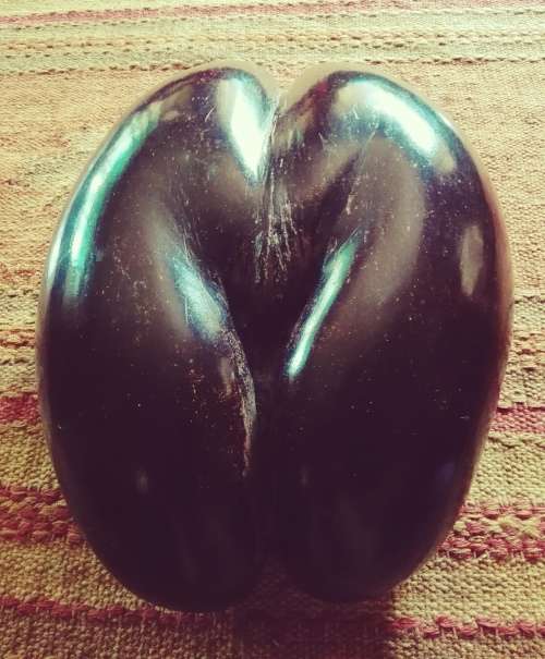 COCO DE MER SEED