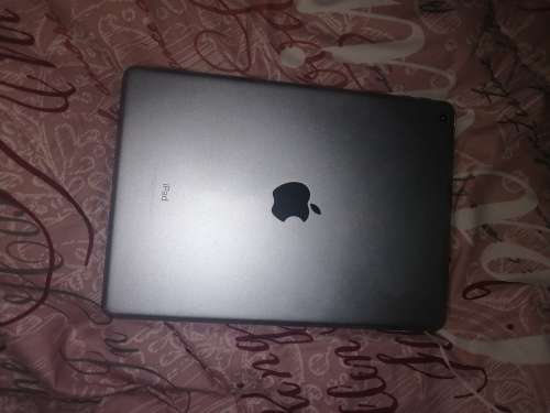 Apple iPad