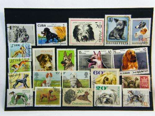 Collection of 21 thematic dog stamps - as per photo