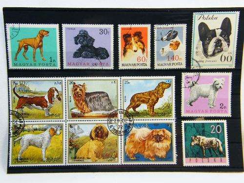 Collection of 13 thematic dog stamps - as per photo
