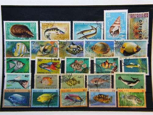 Collection of 25 thematic fish stamps - as per photo