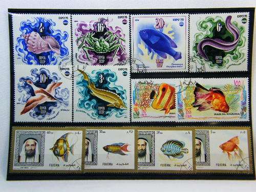 Collection of 12 thematic fish stamps - as per photo