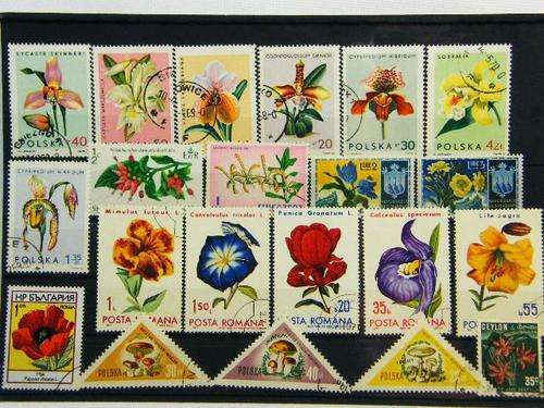 Collection of 21 thematic flower stamps - as per photo