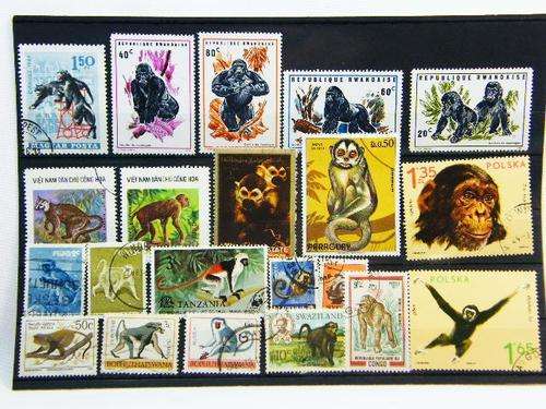 Collection of 21 thematic primate stamps - as per photo