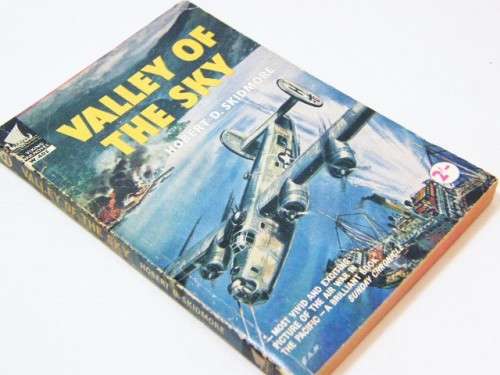 Valley of the sky by Hobert D. Skidmore - A Viking war novel