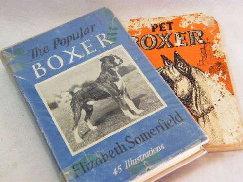 The popular boxer by Elizabeth Somerfield plus free book - in bad condition