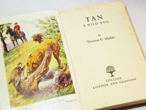 Tan, a wild dog by Thomas C Hinkle