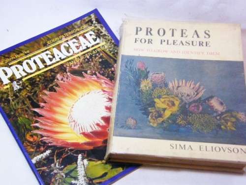 Lot of 2 Protea books