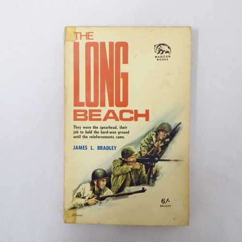 The long beach by James L. Bradley