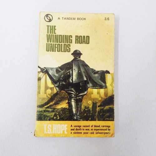 The winding road unfolds by T.S. Hope