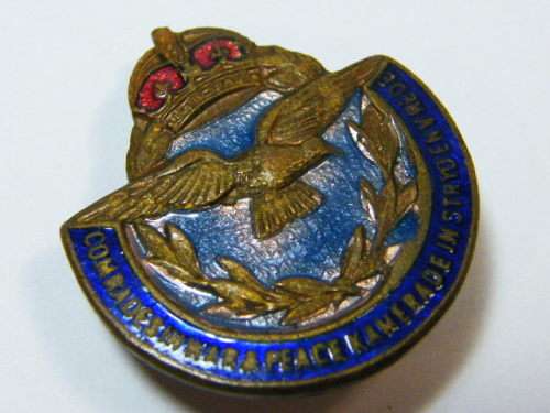 SA Airforce Comrades in war & peace button badge