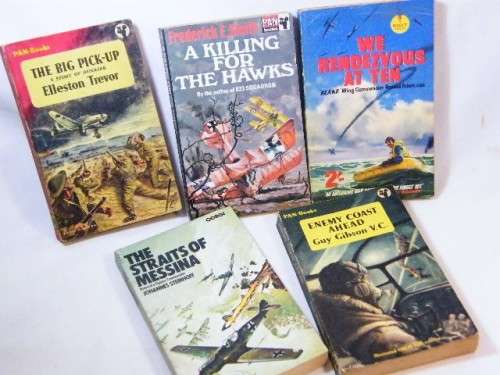 lot of 5 airplane themed war story books