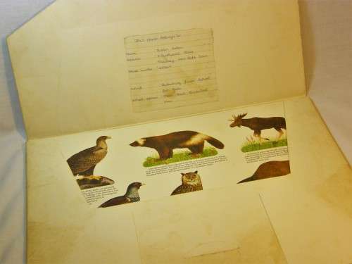 Full set of 8 prints of animals from the Iggesund Country