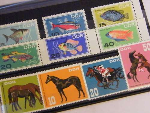 1966 Fish mint set and 1967 horses mint set