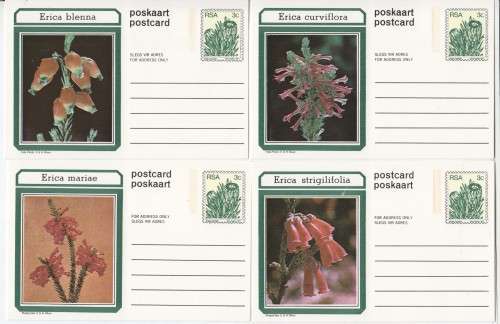 2 sets of ERICA flowers postcards (10 per set ) one set with Kirstenbosch cancellation 27-5-1977
