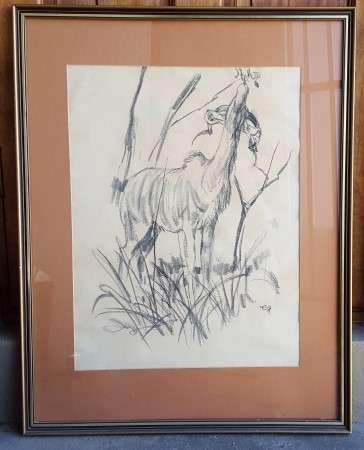 Beautiful charcoal sketch by acclaimed South African artist Zakkie Eloff