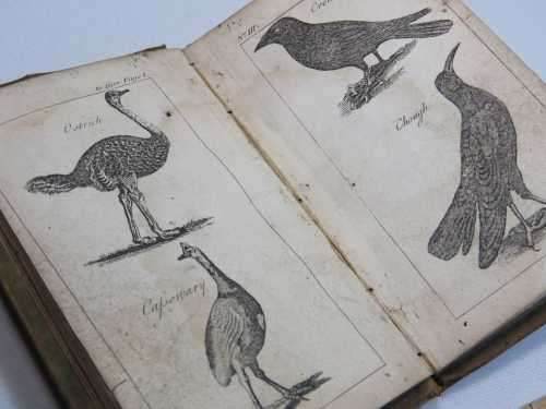 The Aviary - printed for E Newbury by J Cundee