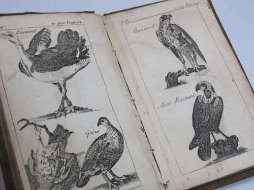 The Aviary - printed for E Newbury by J Cundee