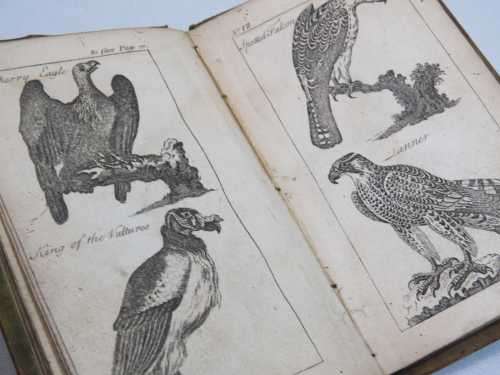 The Aviary - printed for E Newbury by J Cundee