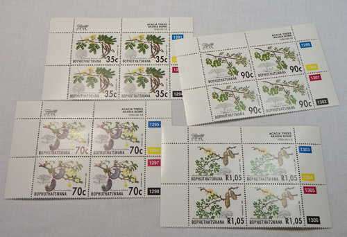 Acacia Trees SACC 281 - SACC 284 control blocks of 4