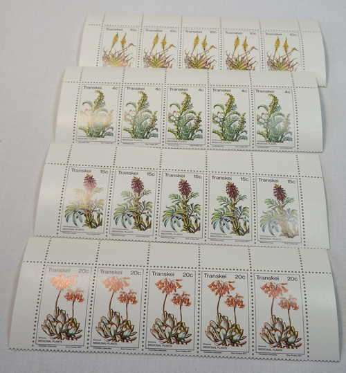 Medicinal plants SACC 24 to SACC 27 control strips of 5