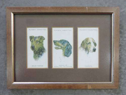 Vintage frame with 3 players cigarette cards -- Dogs from paintings from Arthur Wardle