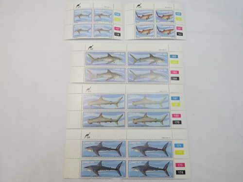 Ciskei SACC 38-42 control blocks - Sharks