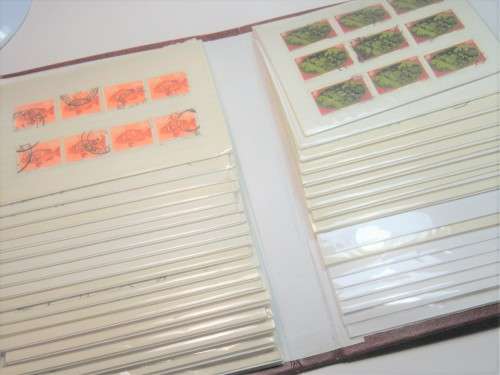 Lot of more than 450 South Africa stamps in photo album