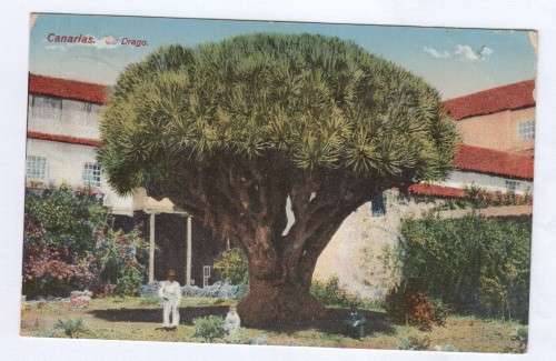 Postcard Deutsche Seapost OST-AFRIKA posted on ship `Admiral` probably near Canary Islands