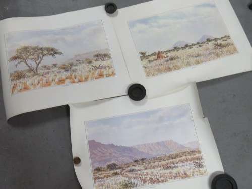 Lot of 3 prints of South West Africa - One torn - 60cm x 49cm