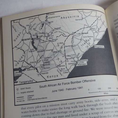 The War of a Hundred days - James Ambrose Brown - South Africans at  war - Volume 1